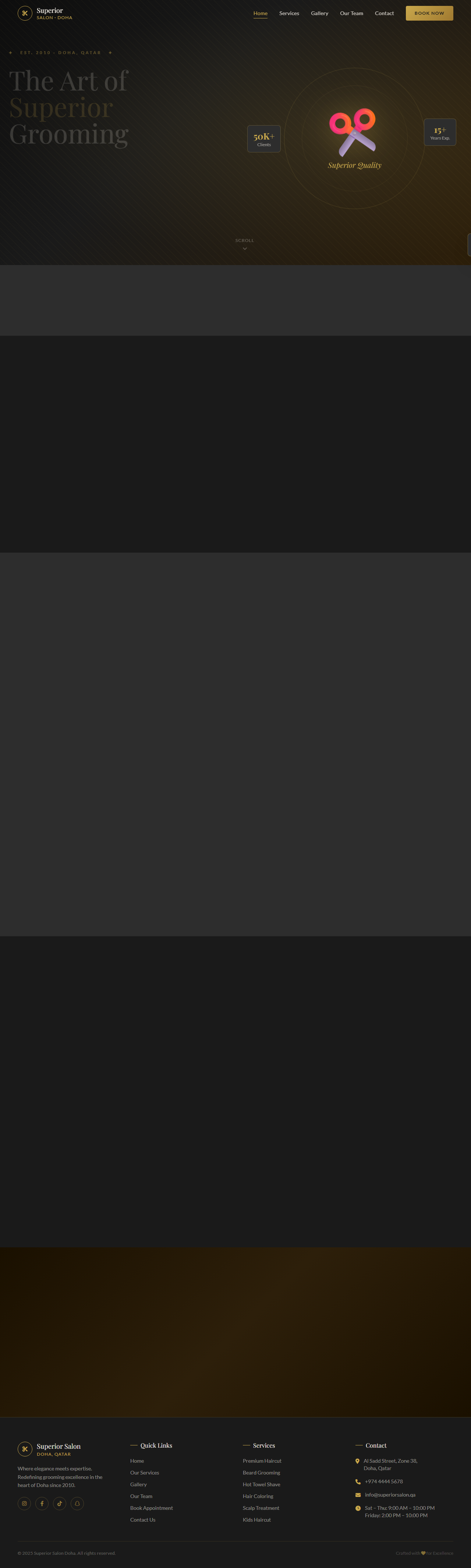 Premium service website preview
